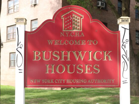 Bushwick Houses