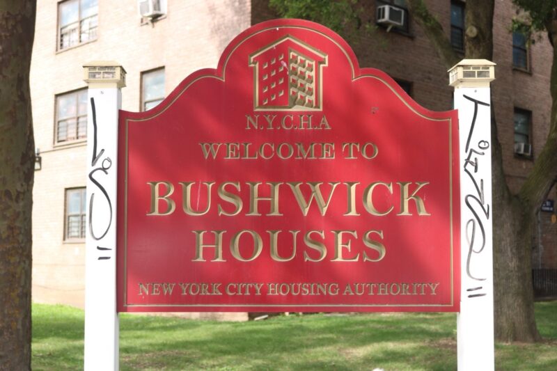 Bushwick Houses