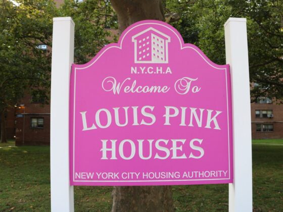 Louis Pink Houses